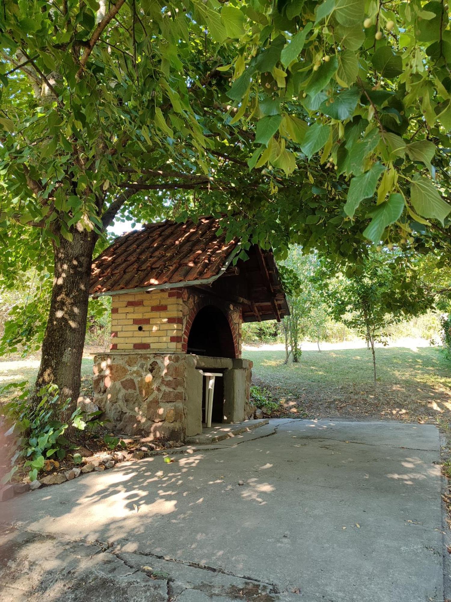 Sorg House Forest & Lake Villa Besenovacki Prnjavor Esterno foto